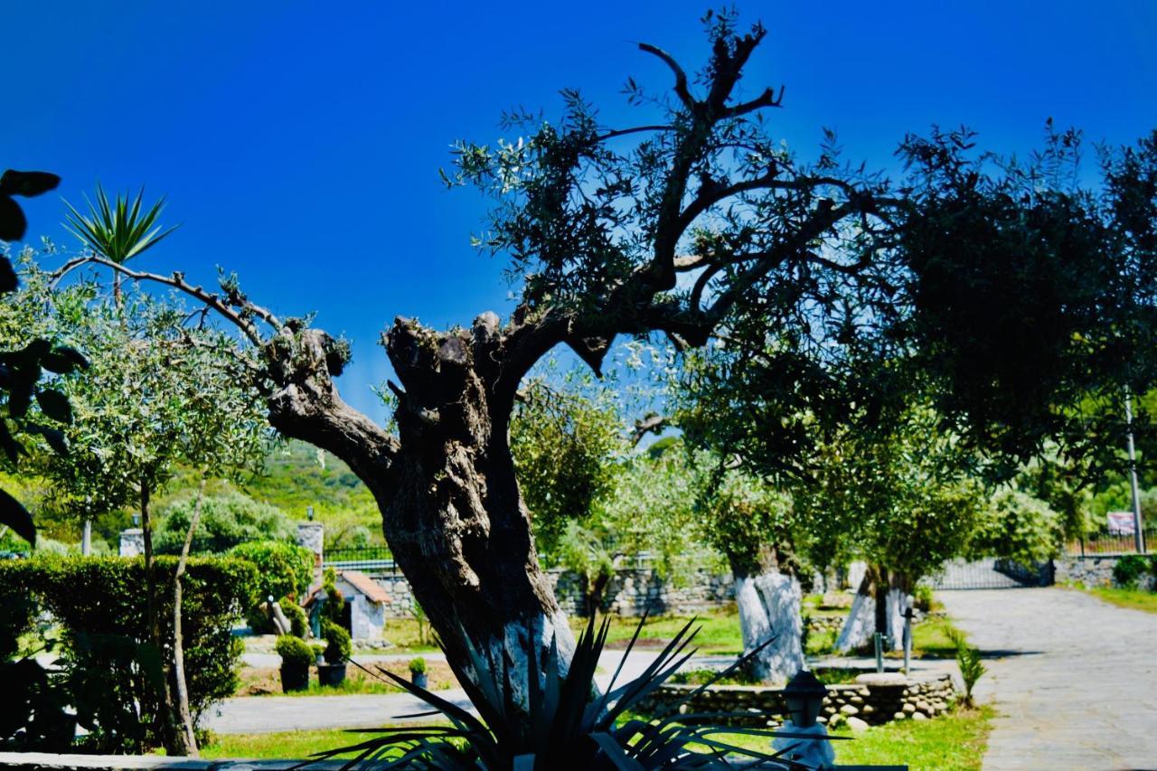 Hotel Kari Ouranoupoli Dış mekan fotoğraf